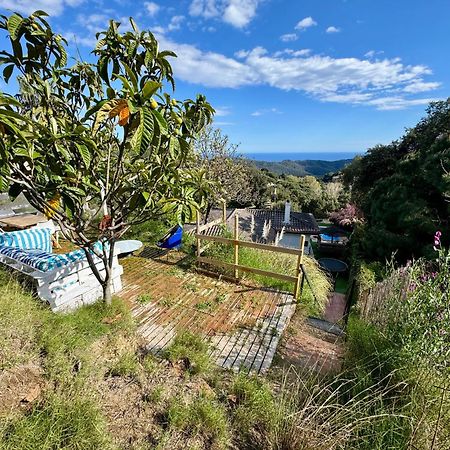 Casa Paraiso Piscina Tranquilidad Sant Cebrià de Vallalta Exteriör bild